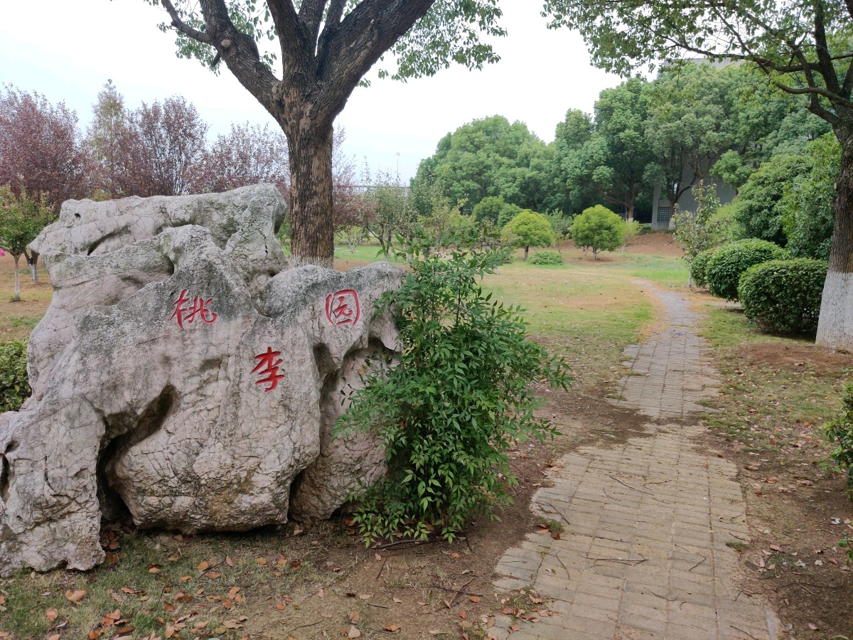 南京工程学校(江宁校区)-桃李园