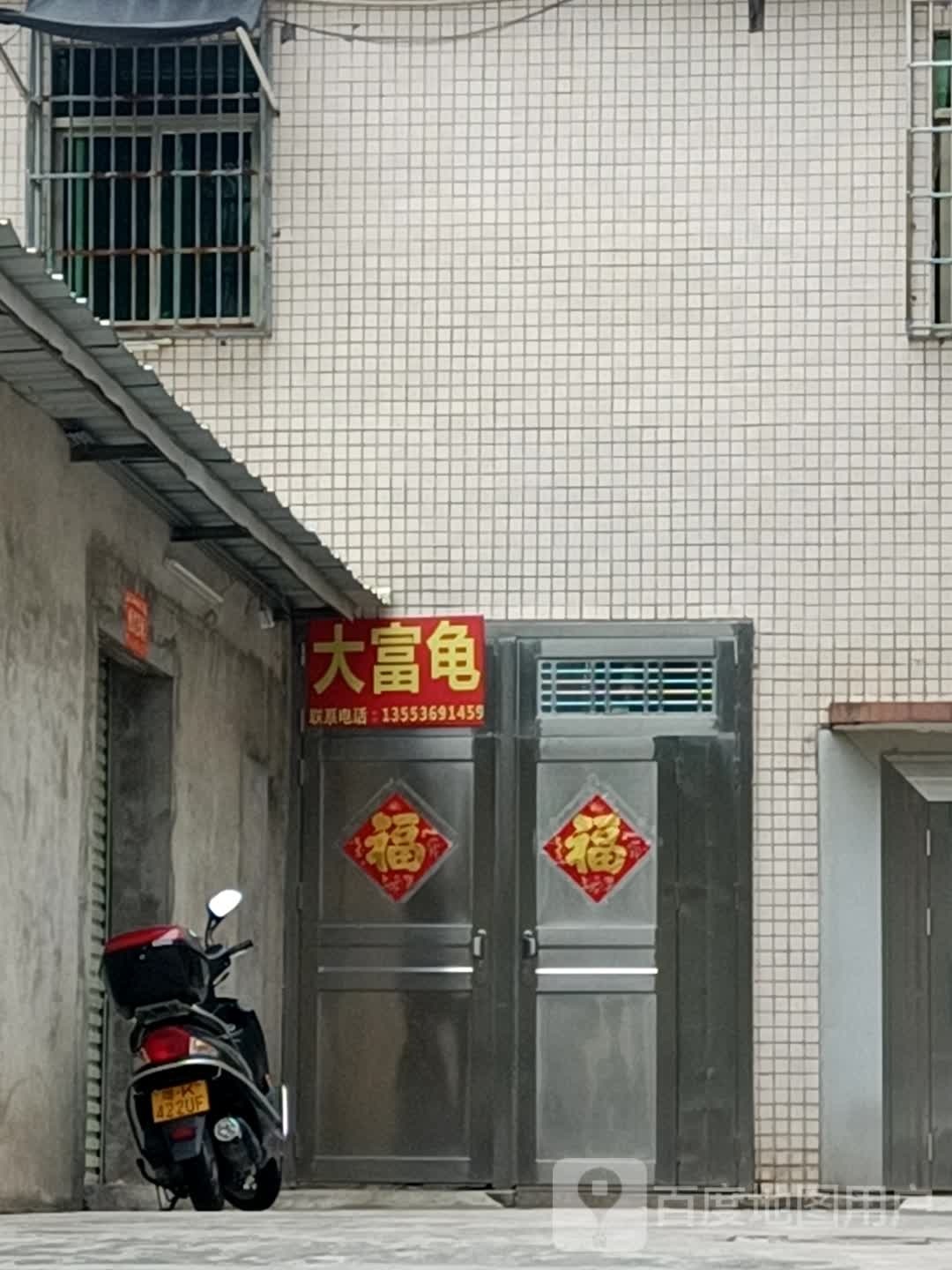 大富龟