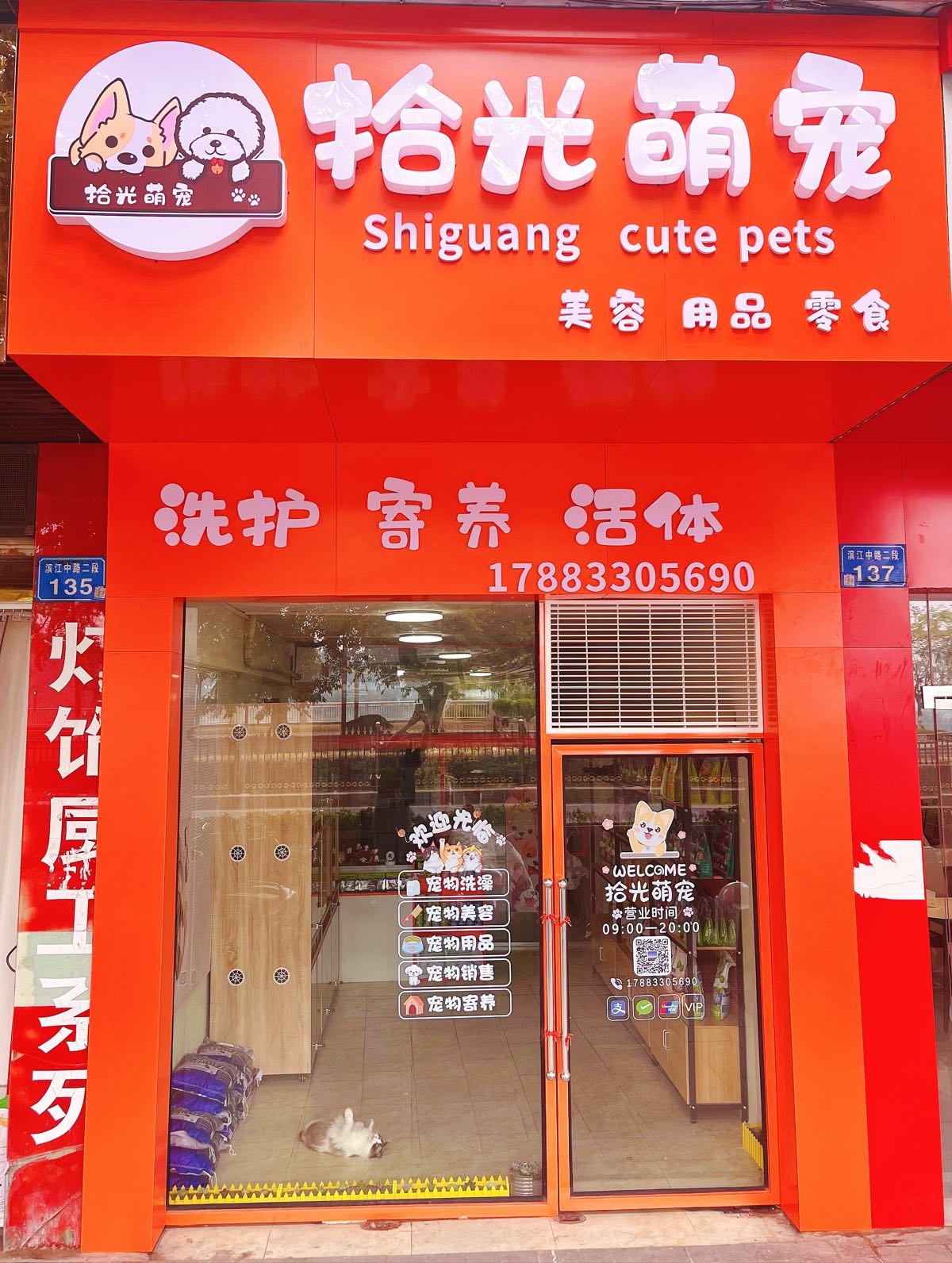 拾光萌宠