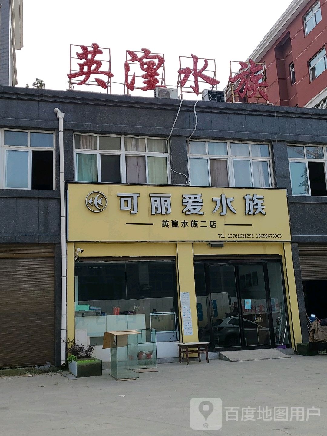 可丽爱水族(未来大道店)
