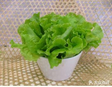 小刁烤烧