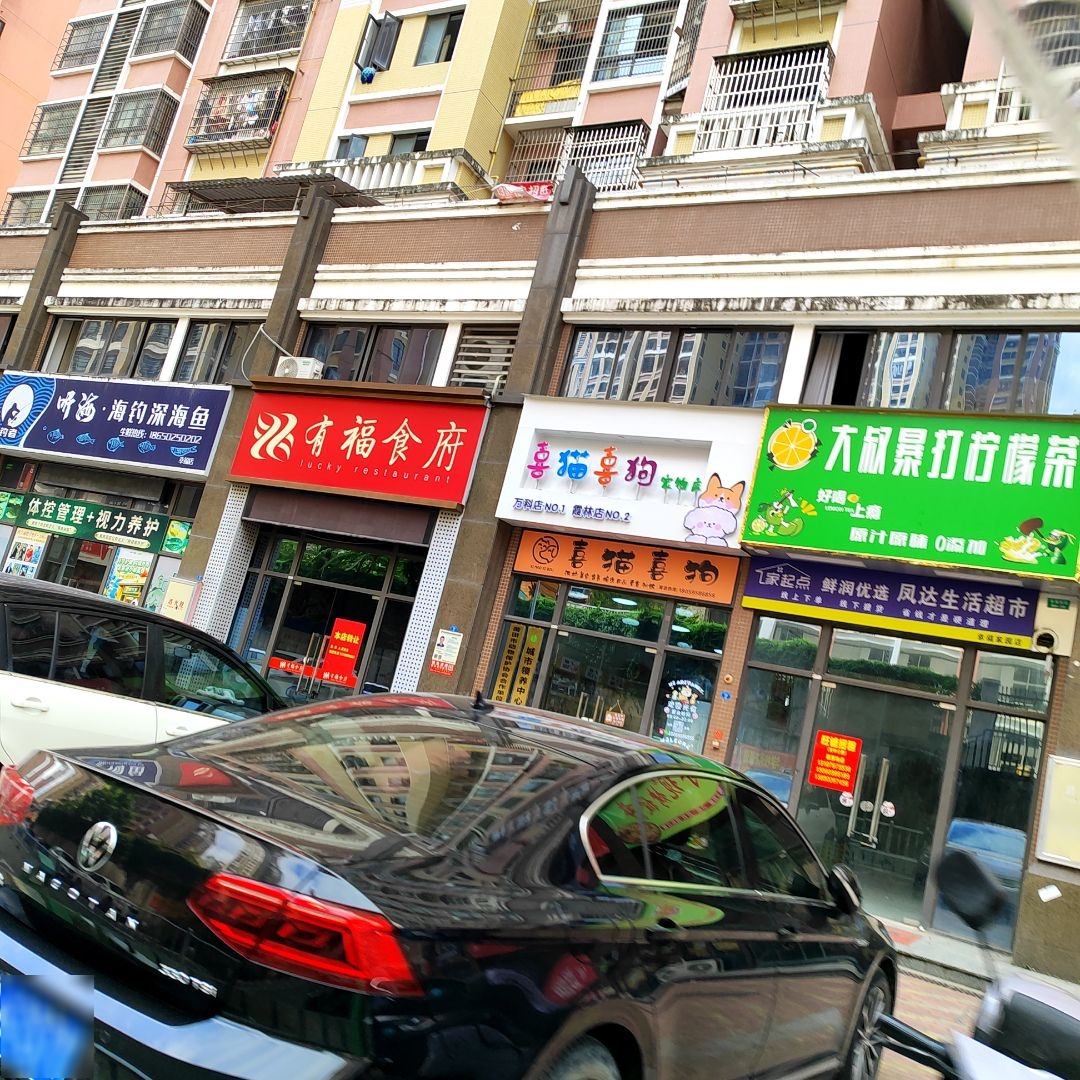 喜猫喜狗宠物店(霞林店)