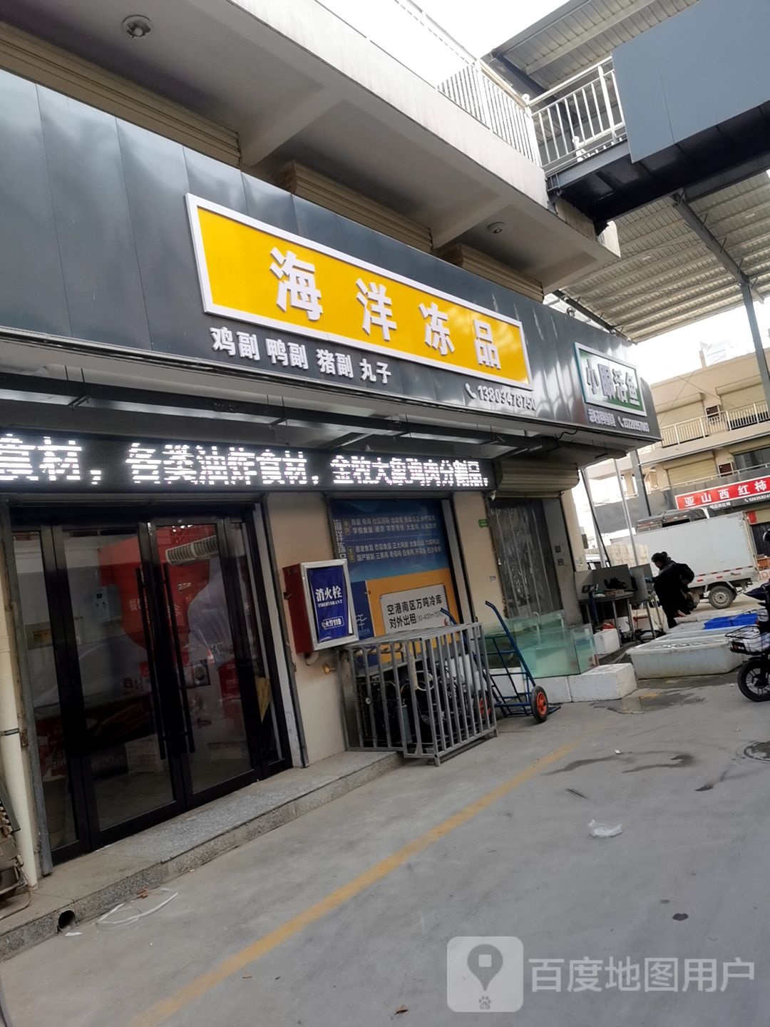 小眼活鱼