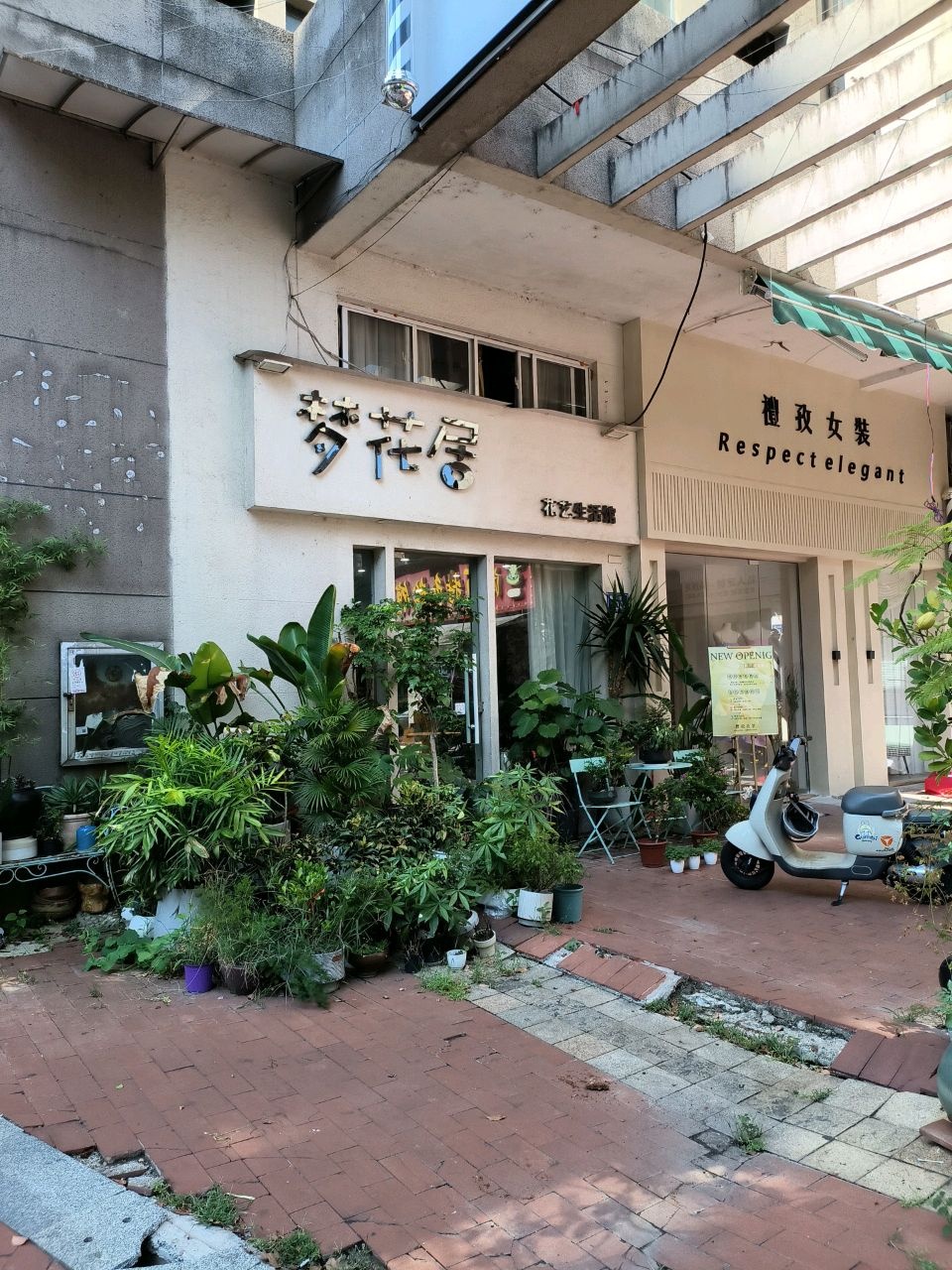 梦花居花艺生活馆