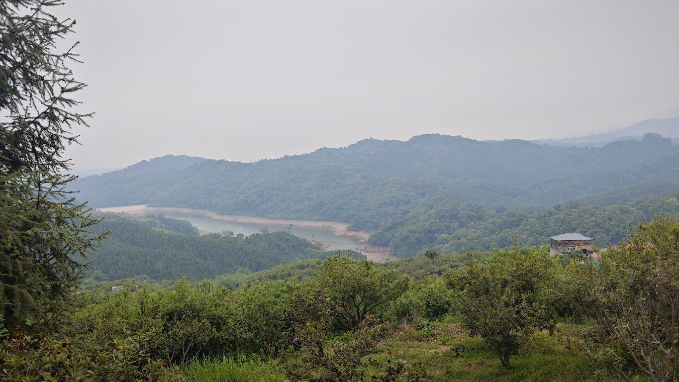 云南省瑞丽市南京里杨梅基地