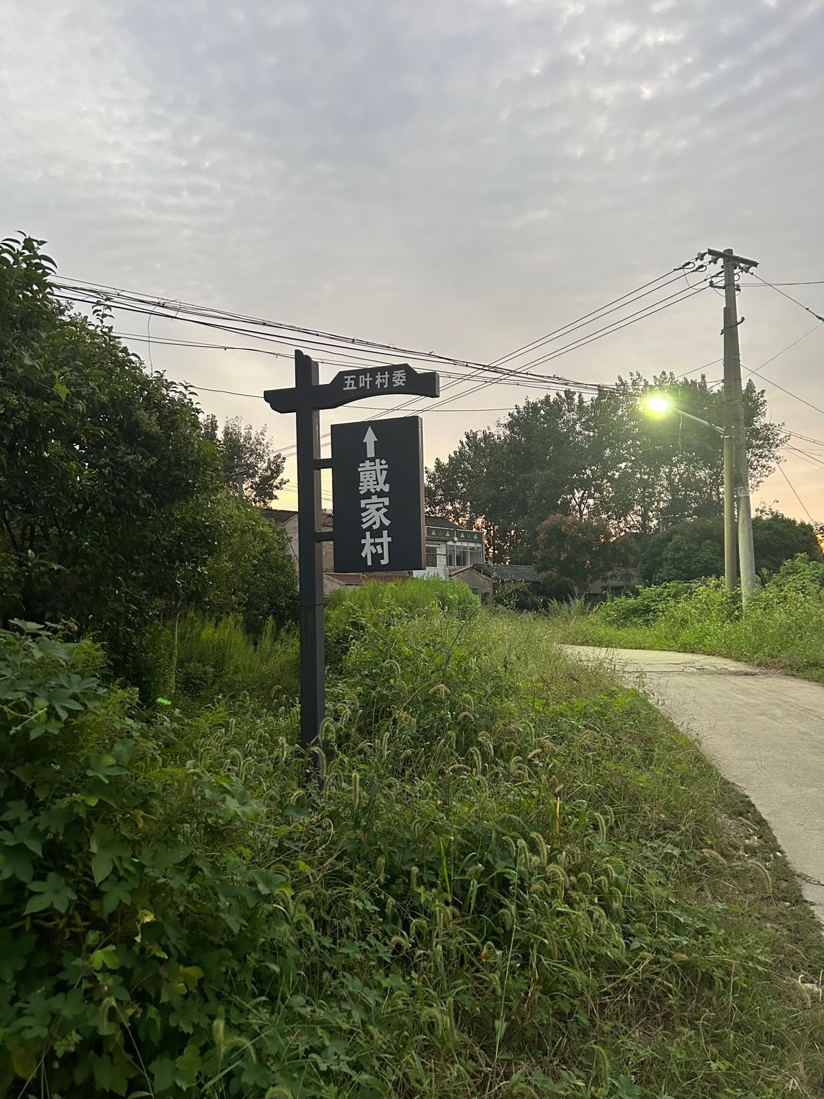 江苏省常州市金坛区五叶村委戴家村