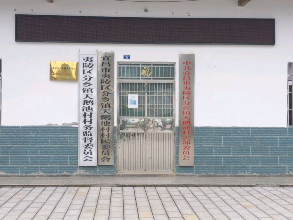 天鹅池村村民委员会