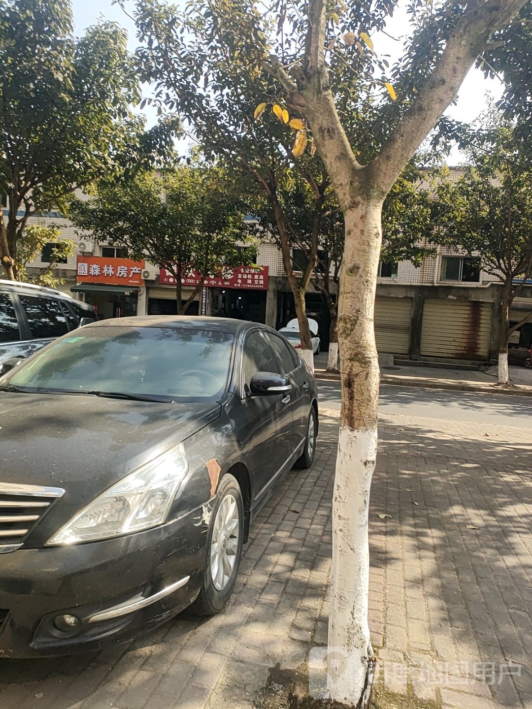 森林房产
