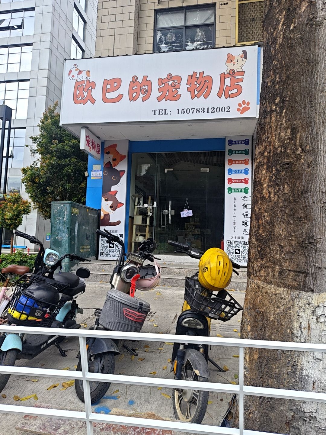 欧巴的宠物店