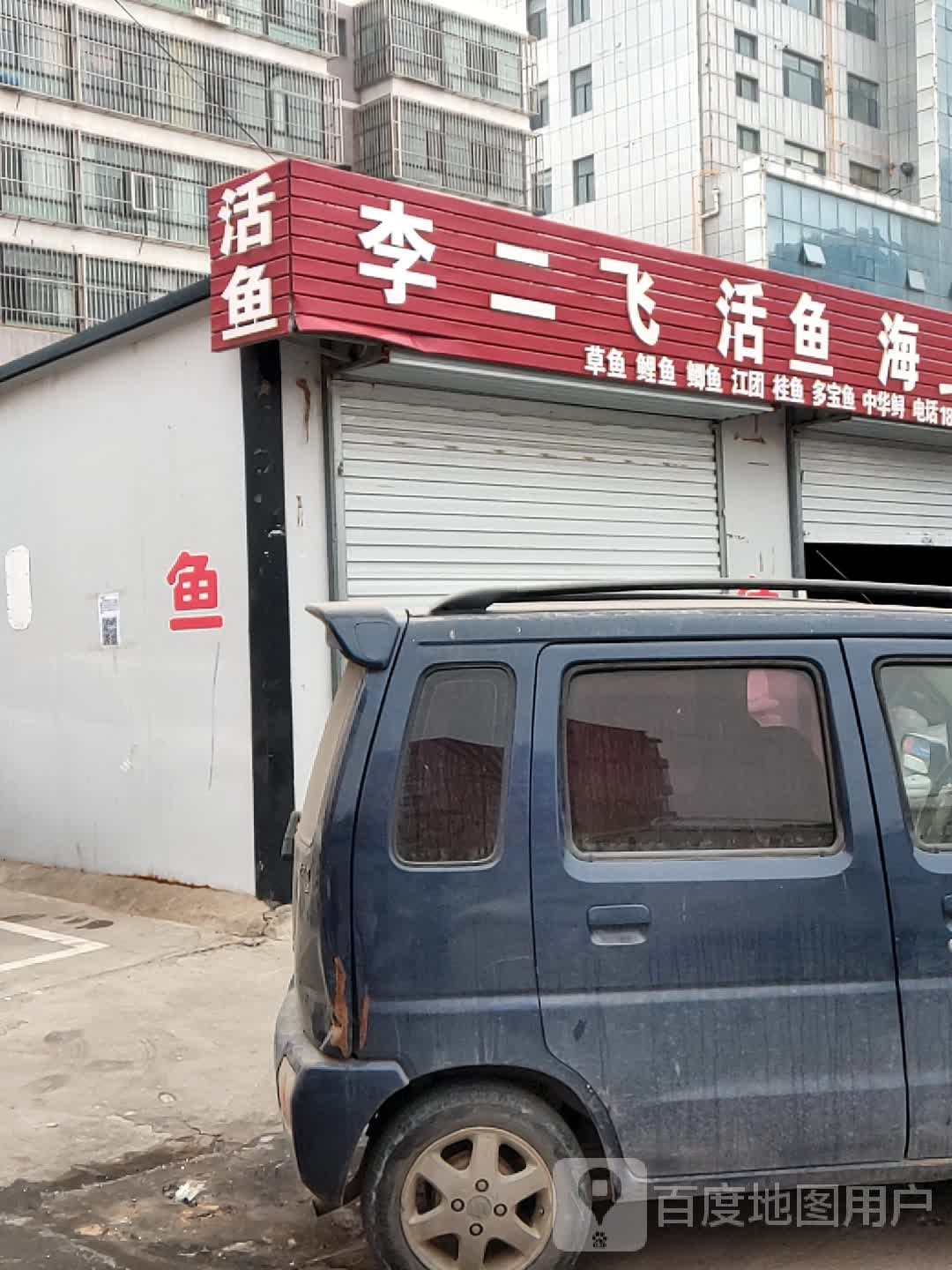李二飞活鱼
