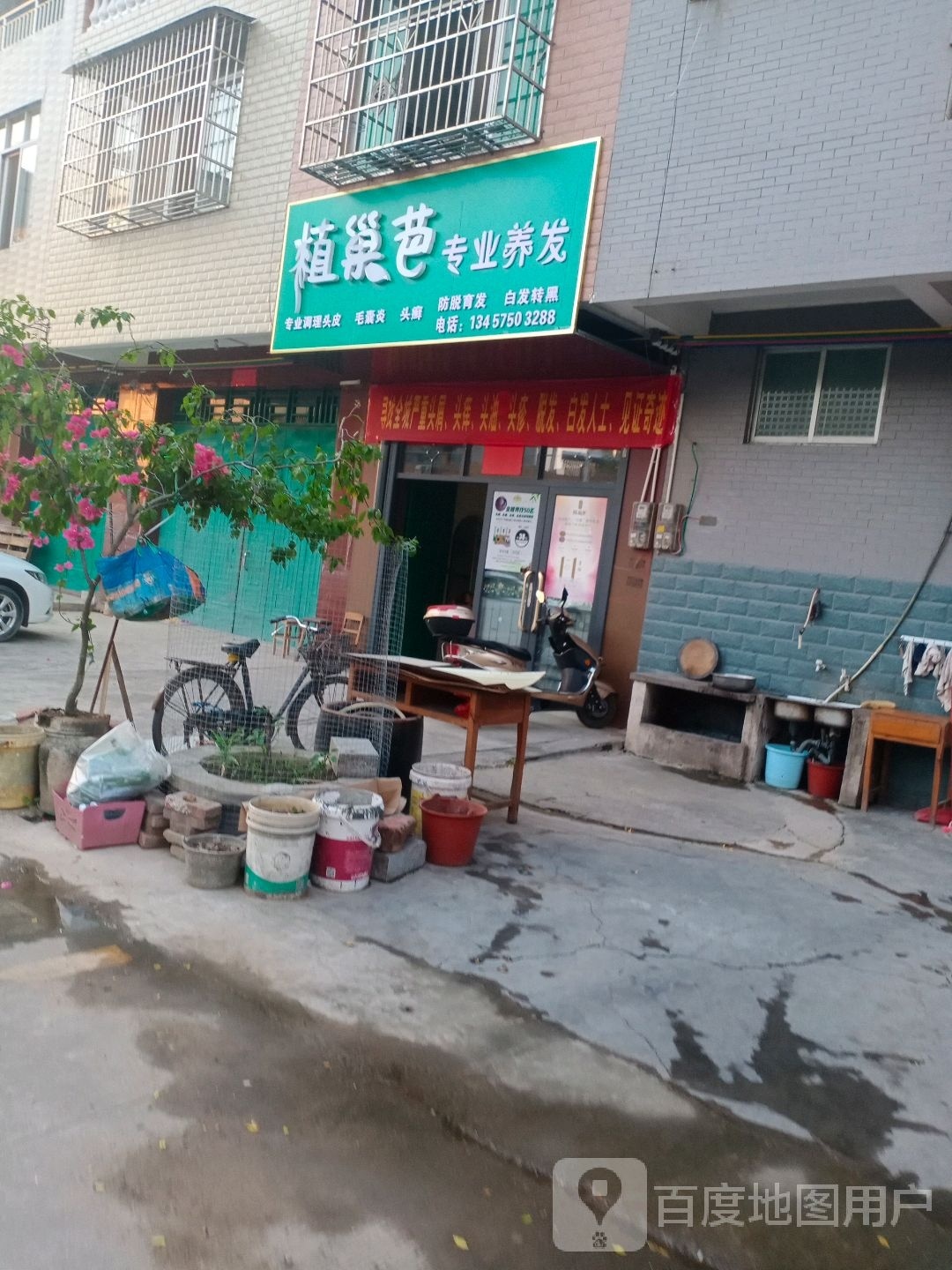 植巢芭专业养发