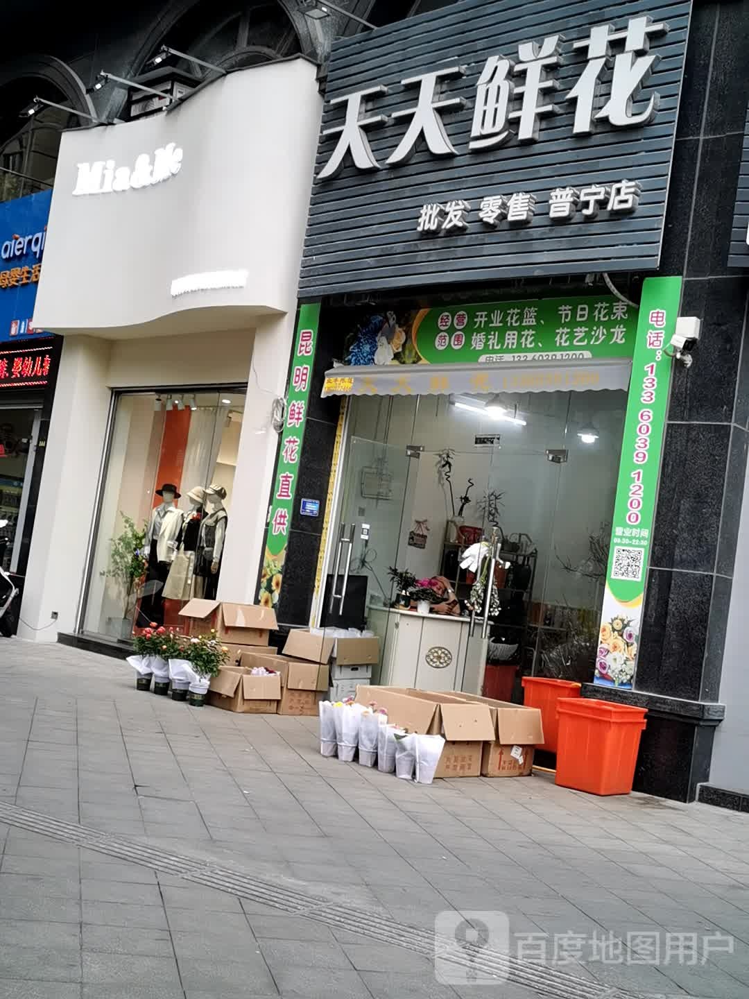 天天鲜花(普宁店)