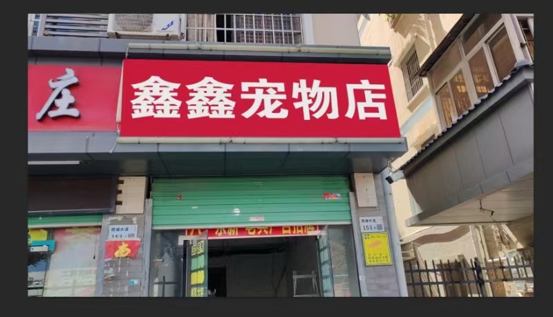 鑫鑫宠物店