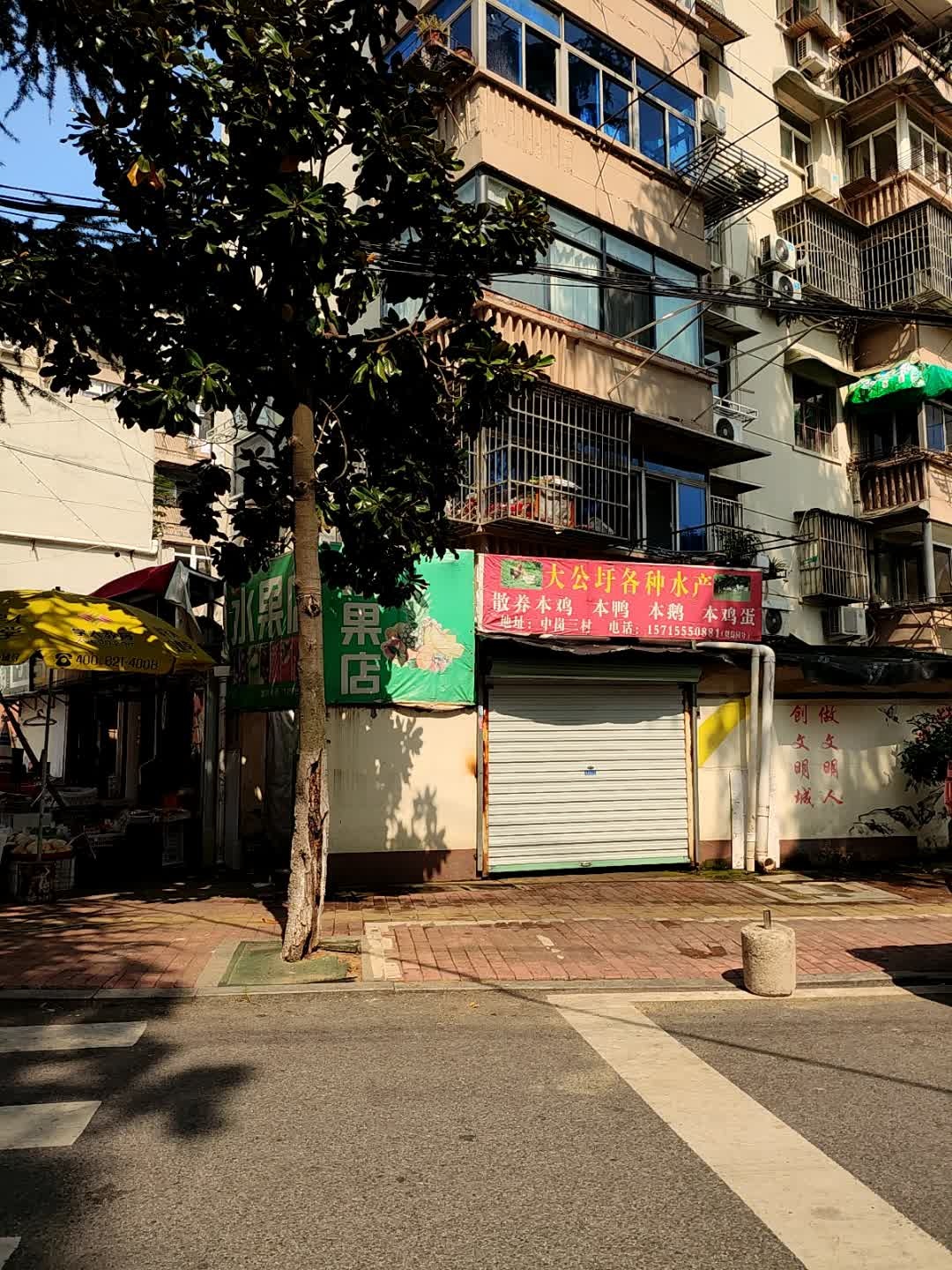 大公圩各种水产