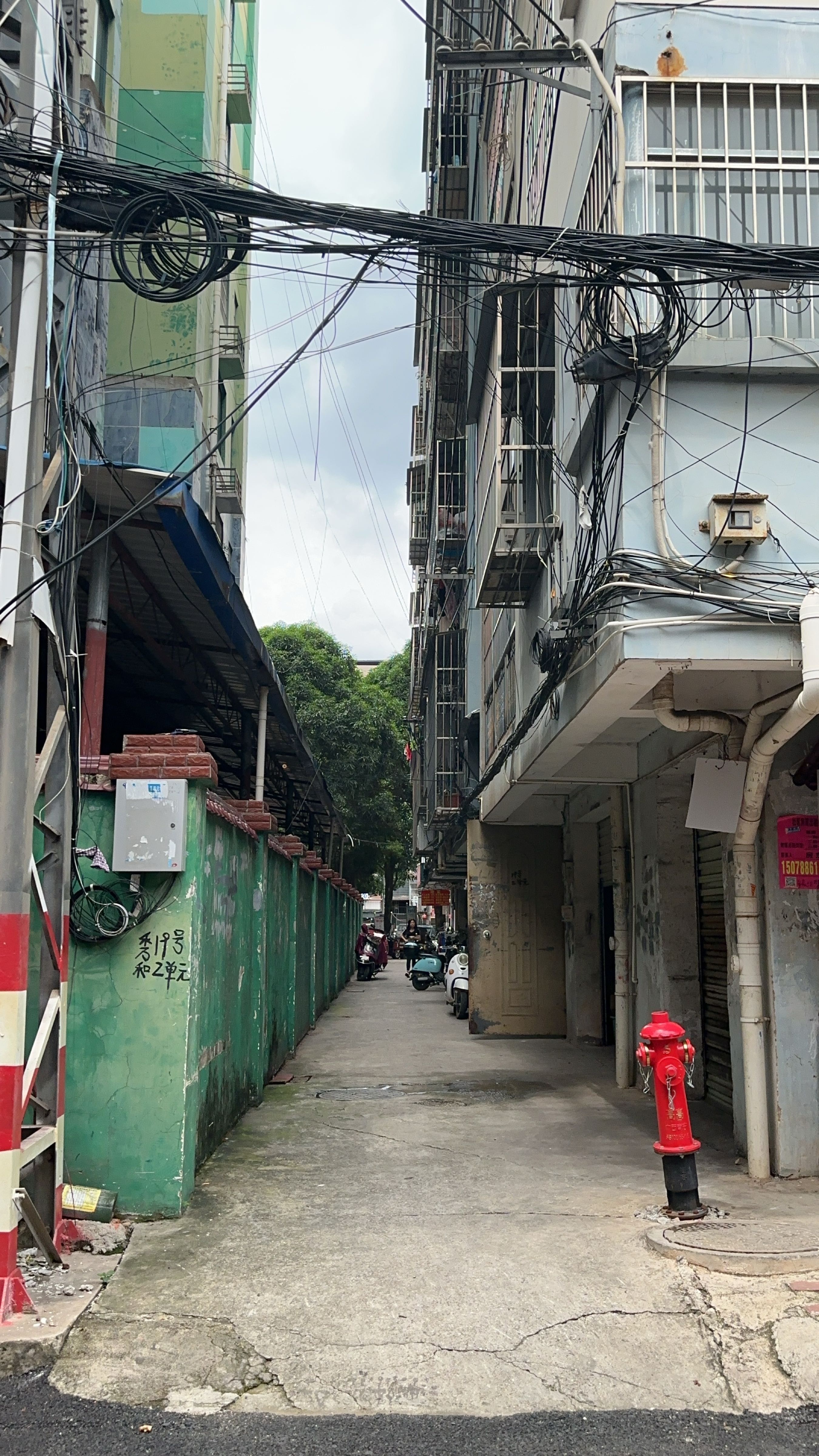 秀和路19号