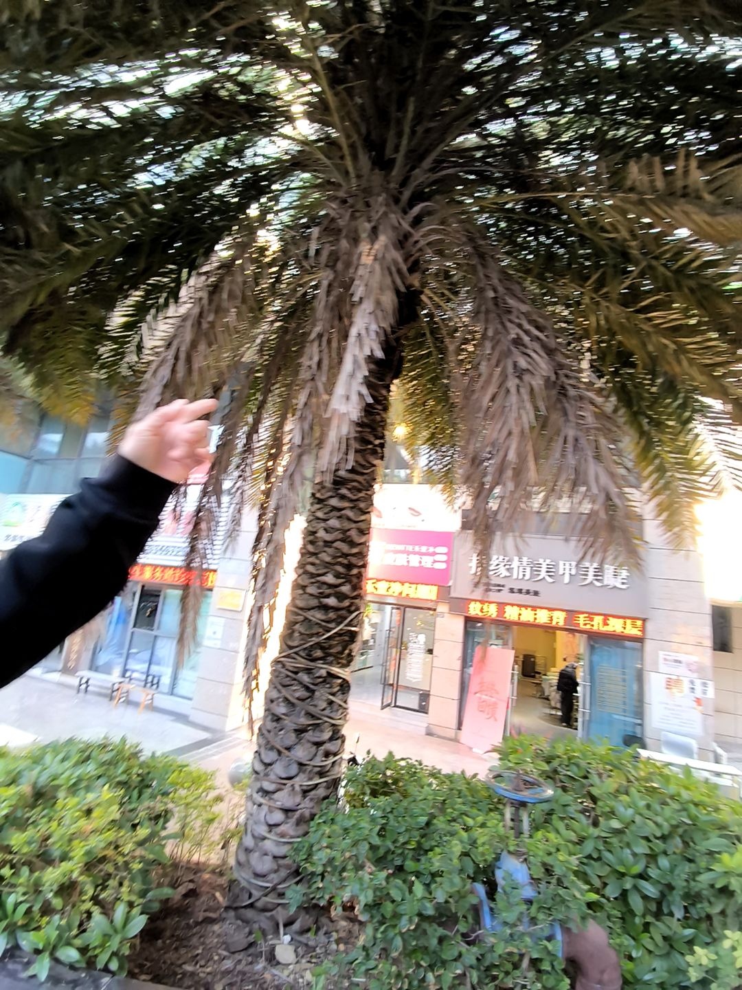 指缘情美甲美睫(仁和店)