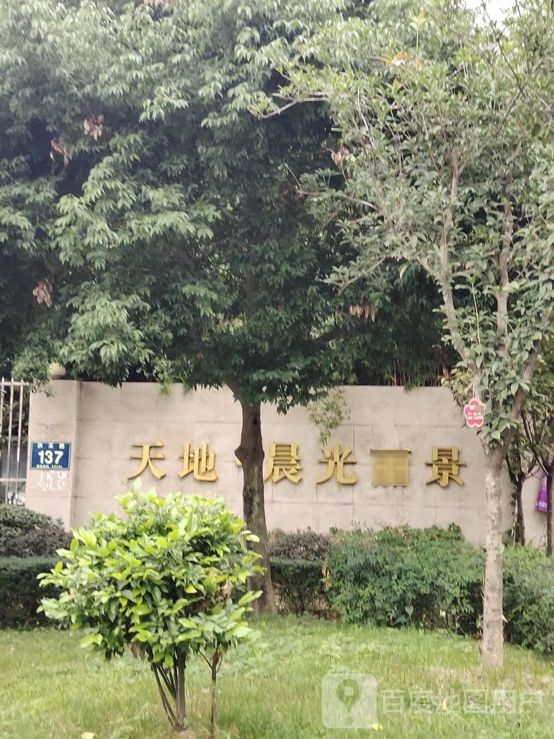 天地·晨光丽景-游泳池