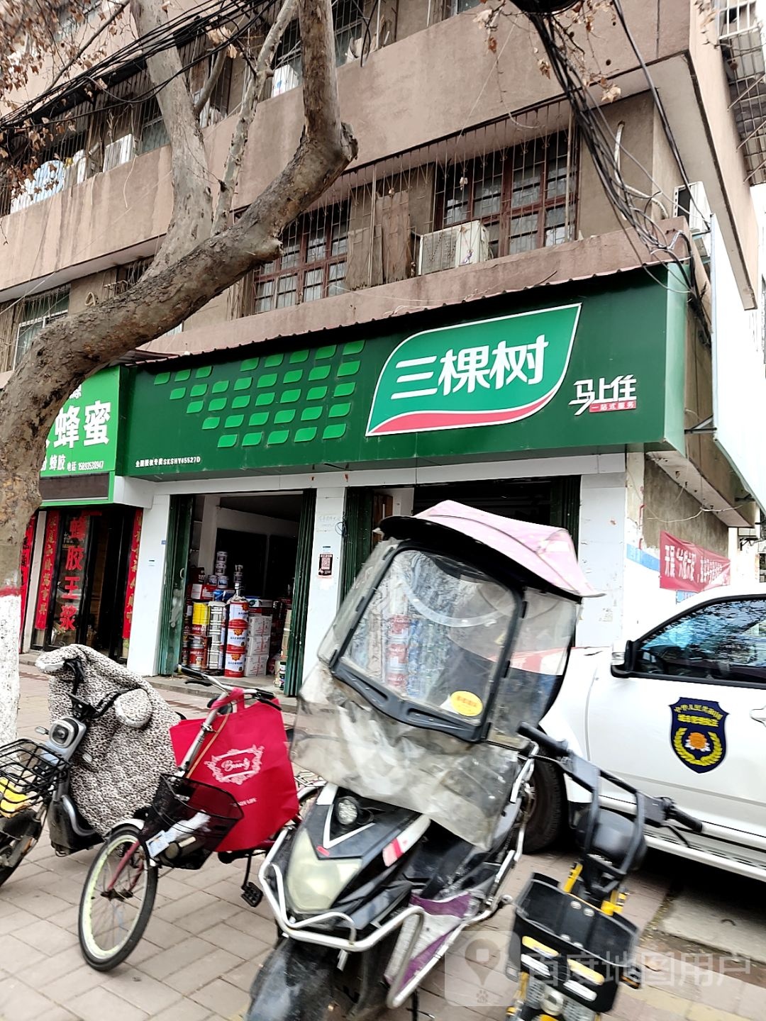 内乡县三棵树(范蠡大街店)