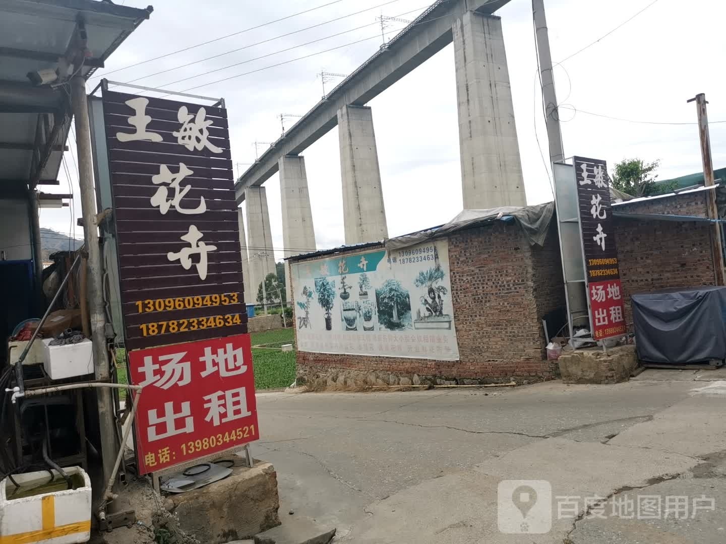 王敏花卉