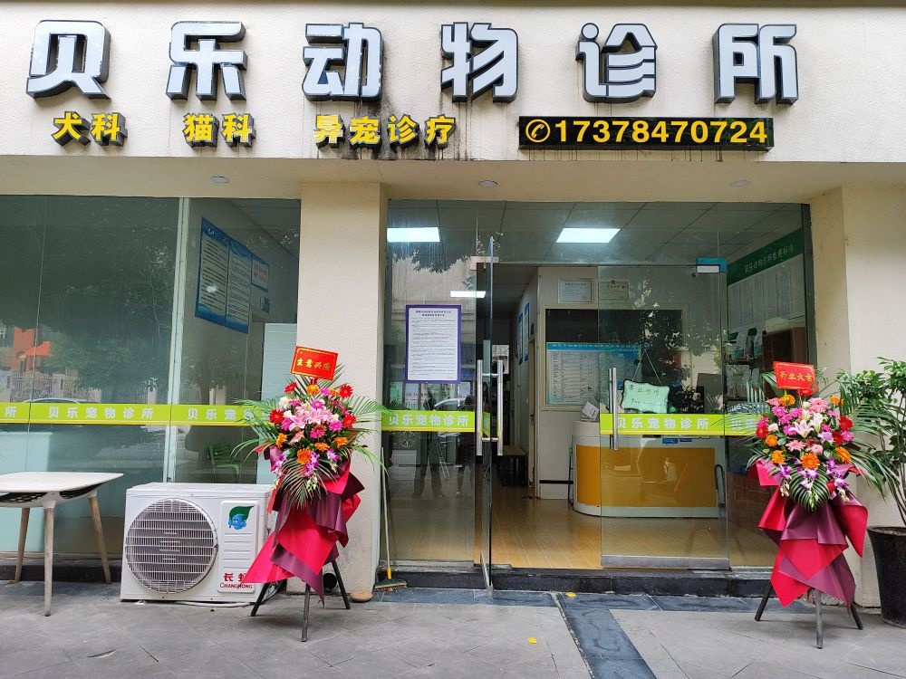 贝乐动物诊所·犬证便民服务点