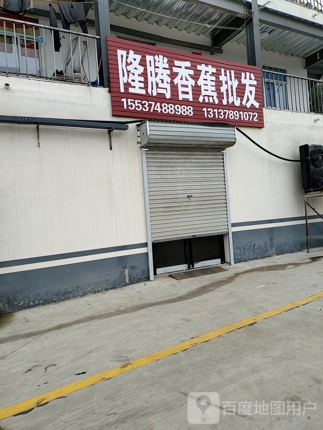 隆腾香蕉批发