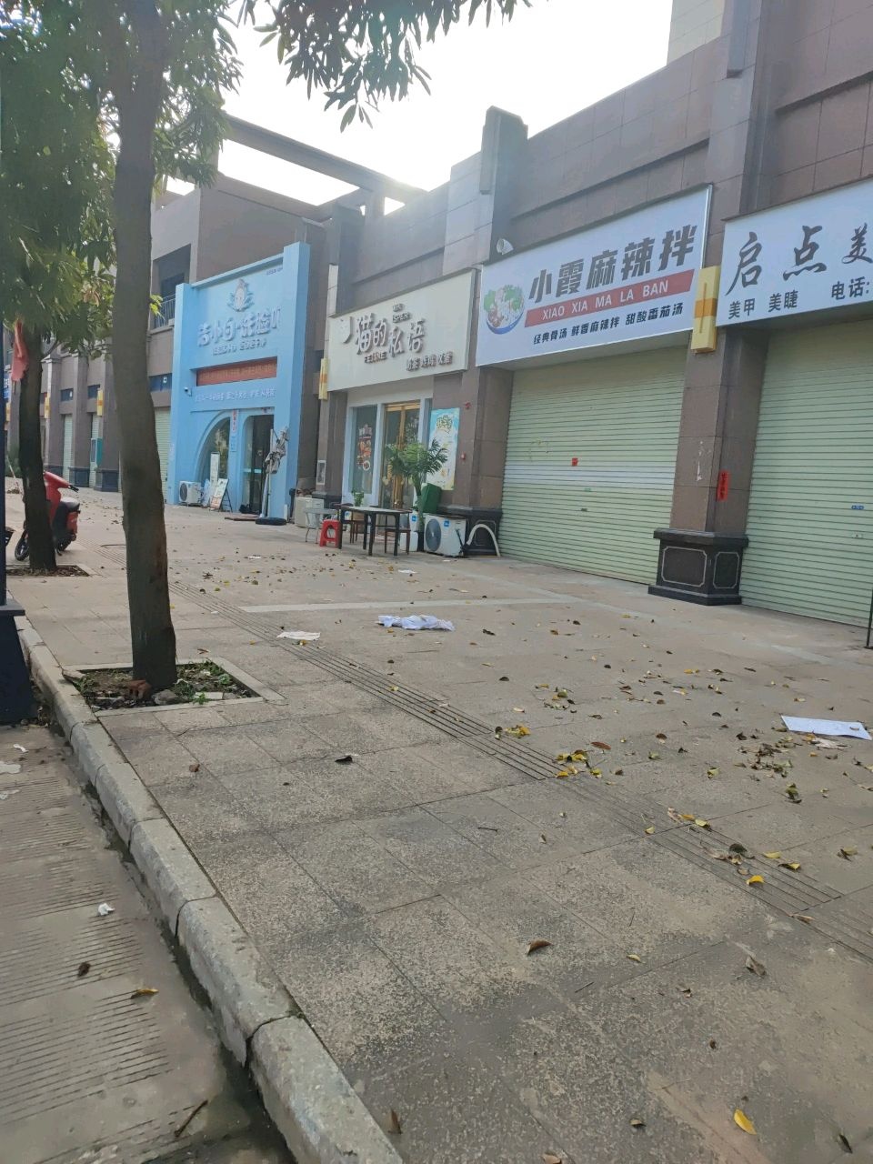 猫的私语奶茶店
