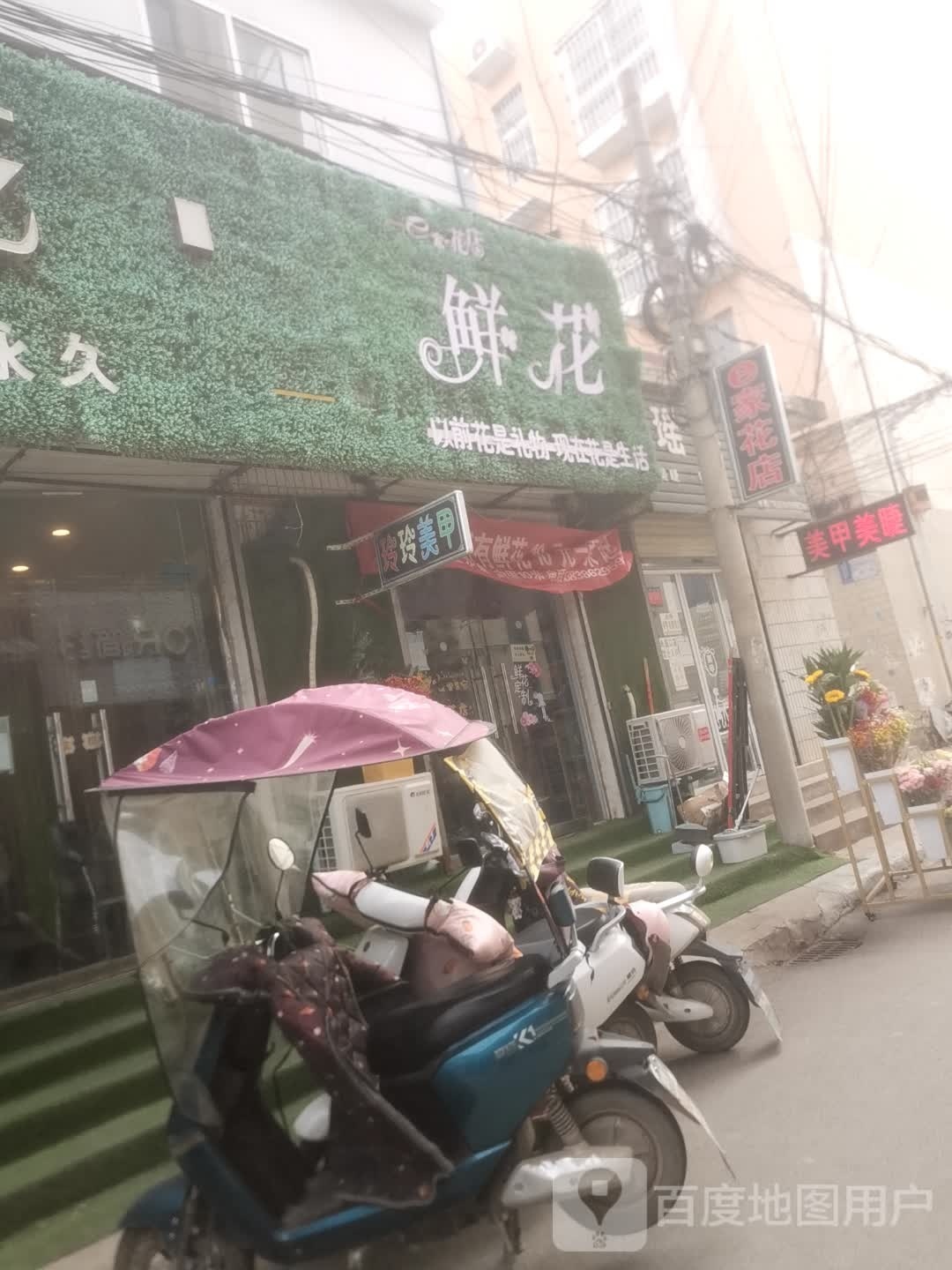 扶沟县e家花店