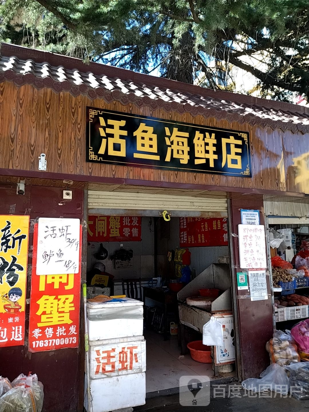活鱼海先店(港岛路店)