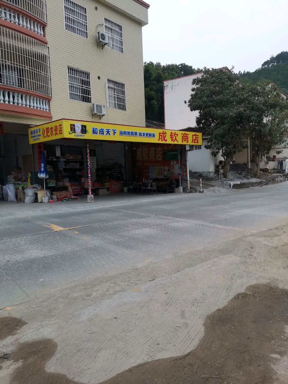 成钦商店