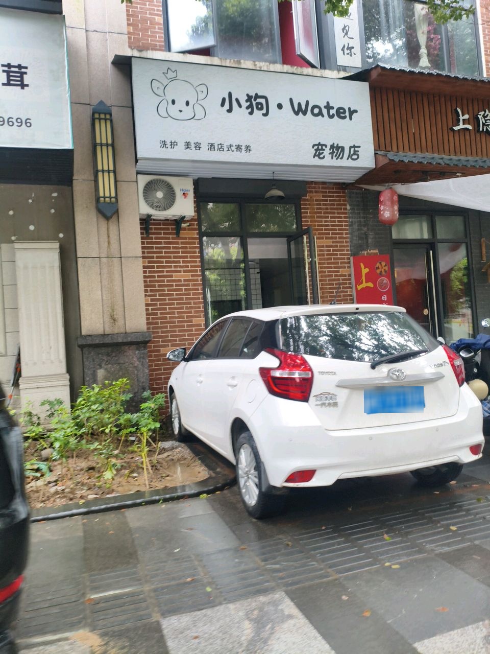 小狗·water宠物店