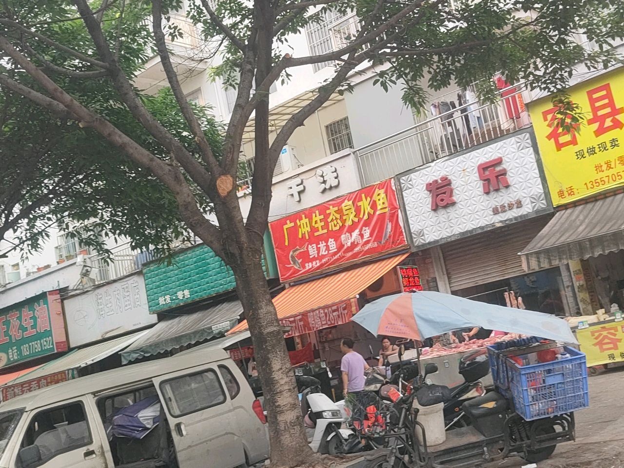 广冲生态泉水鱼
