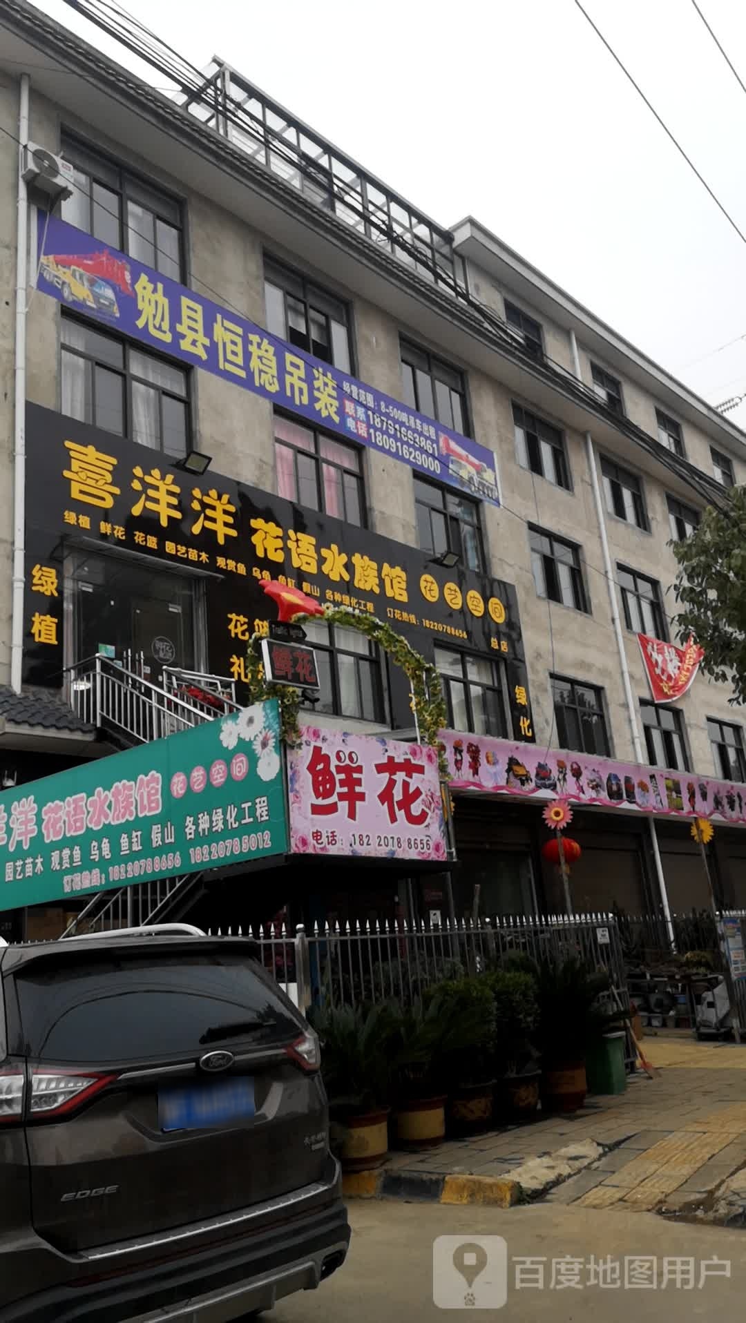 喜洋洋花语水族馆