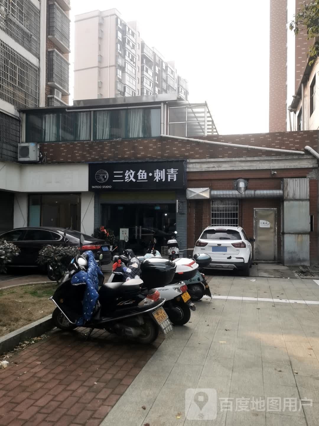 三纹鱼·刺青(汉寿店)