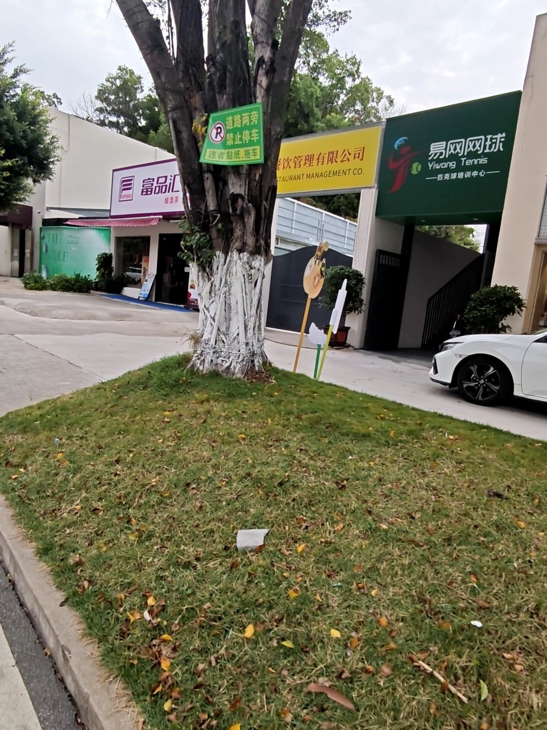 易网网球