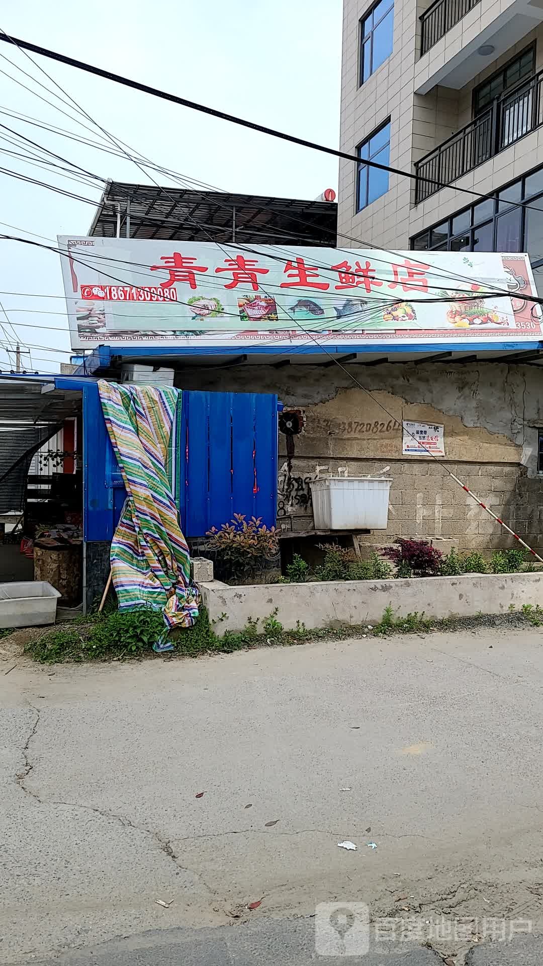 青青生县店