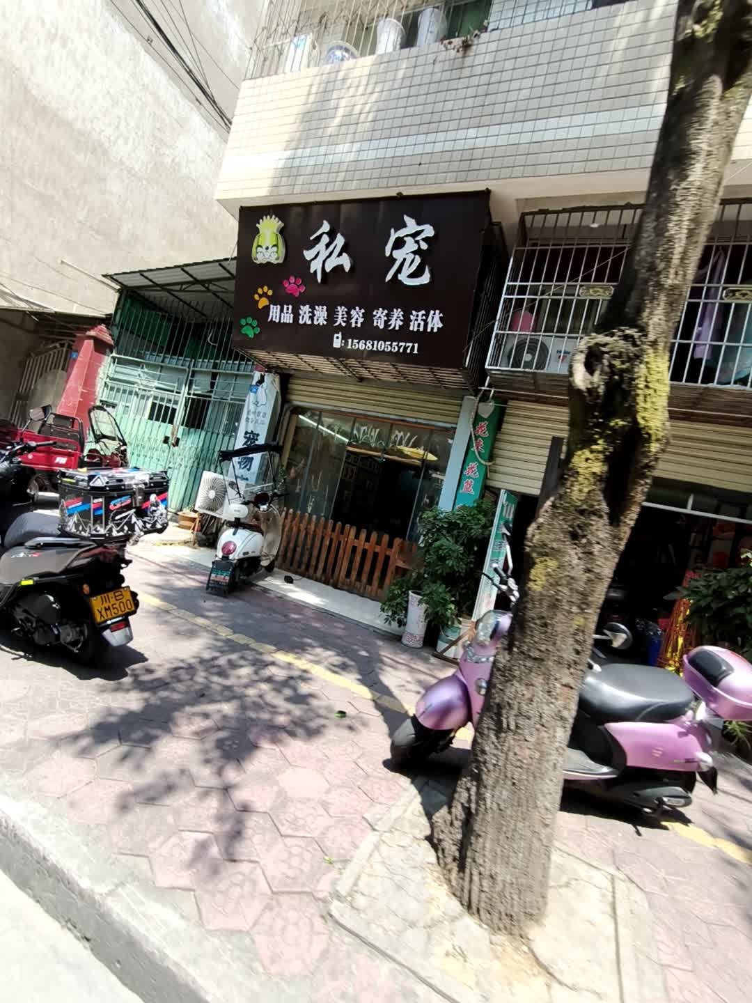 私宠宠物店