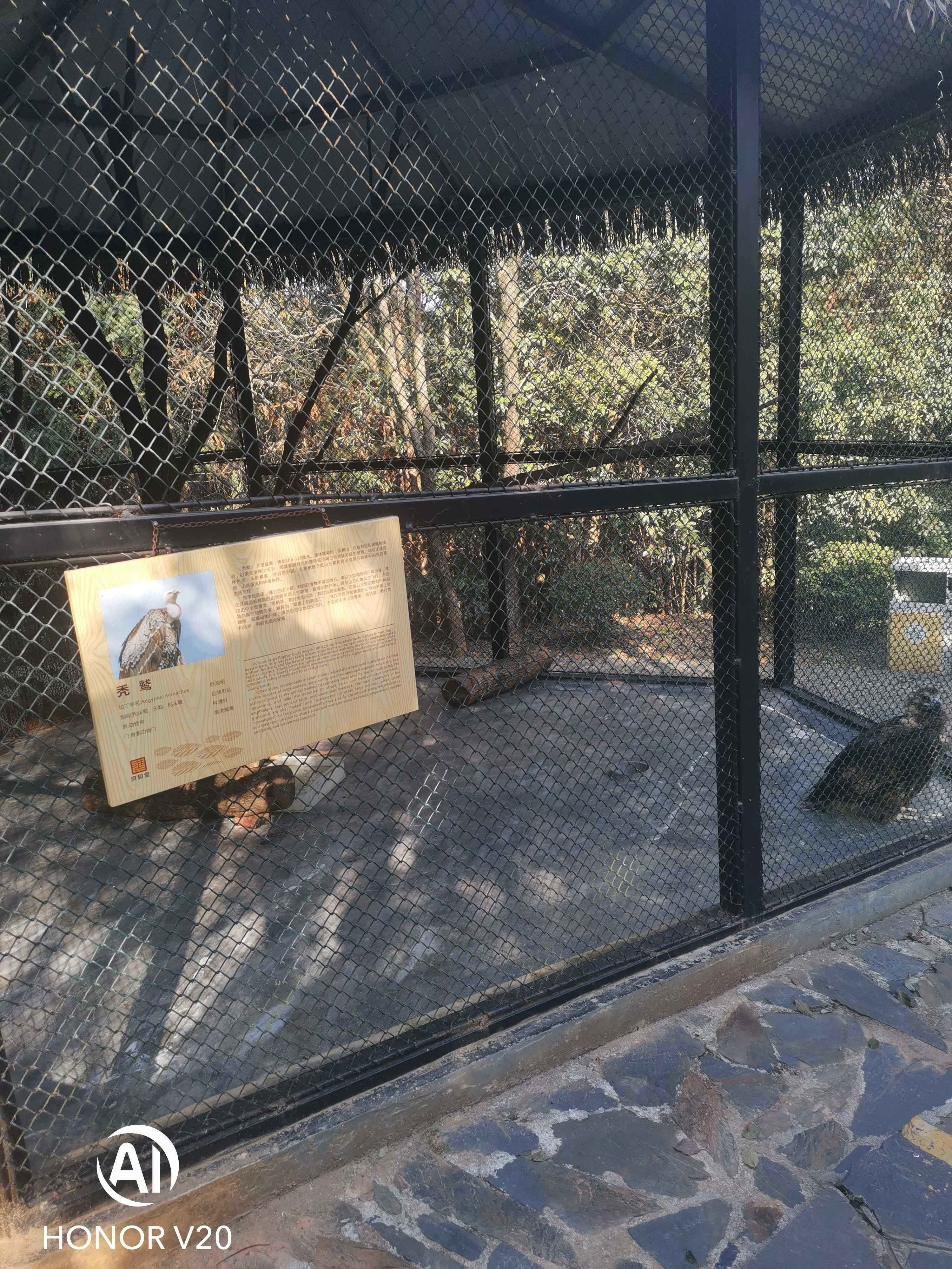 猛禽馆