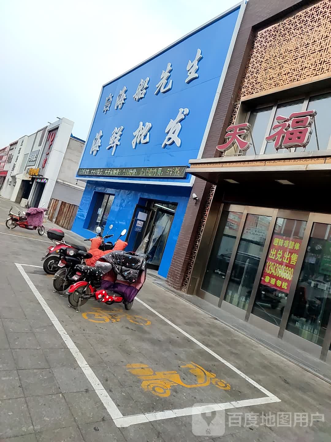 海船先生海洋批发