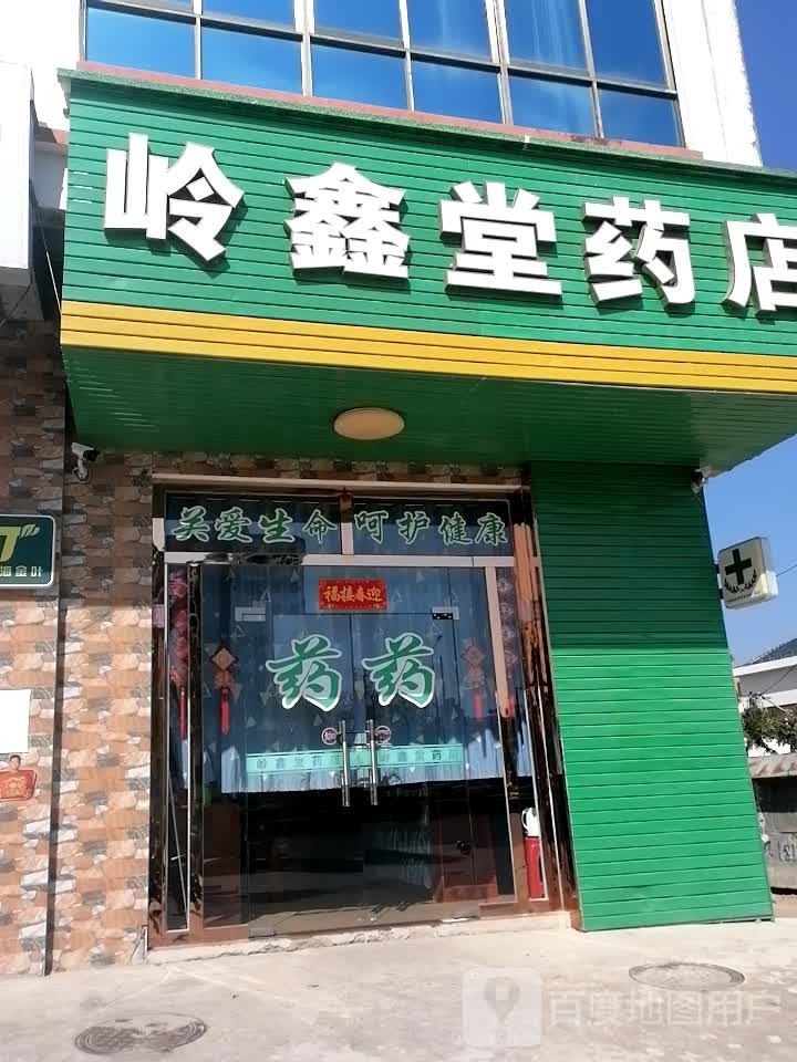 岭鑫堂药店