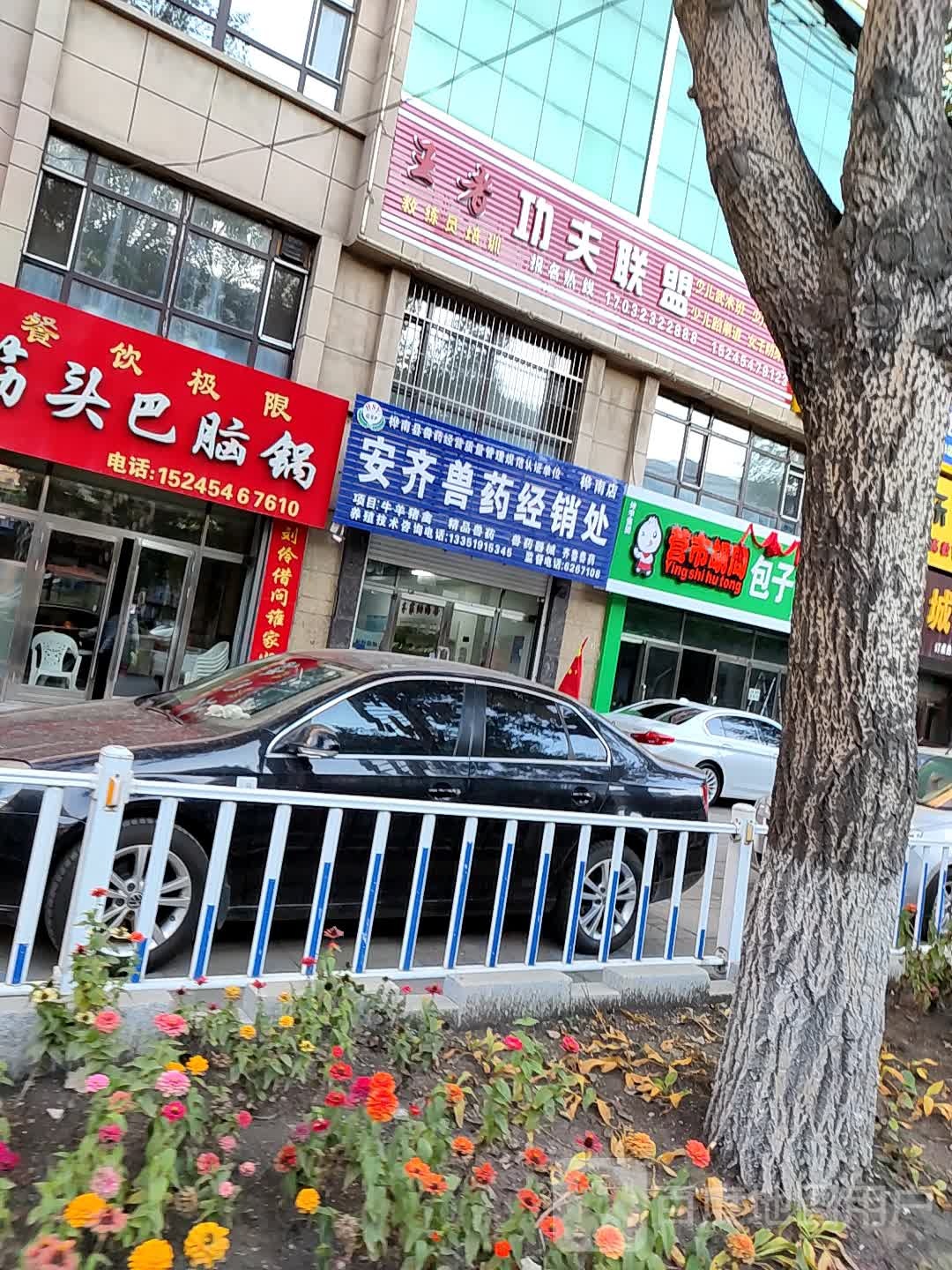 王者功夫联盟洛
