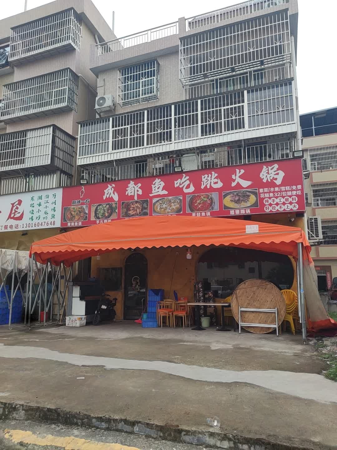 成都鱼吃跳火锅