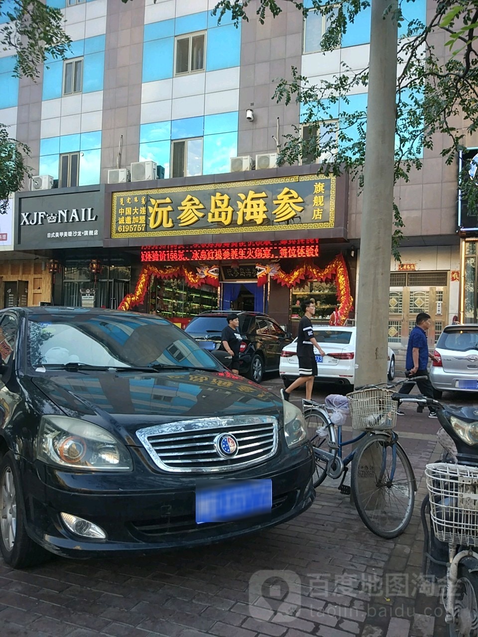 沅参岛海参