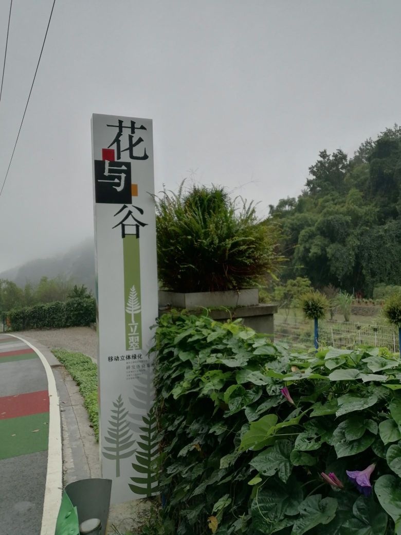 花与谷