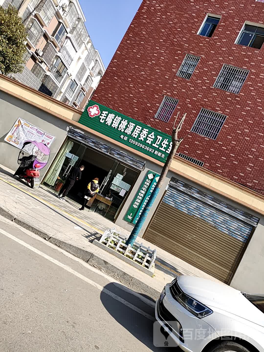毛嘴镇桃源居委会卫生室