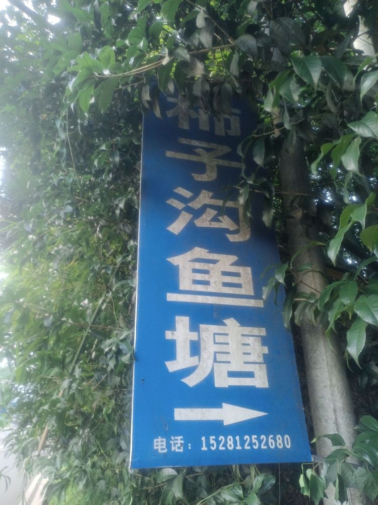 柿子沟鱼塘