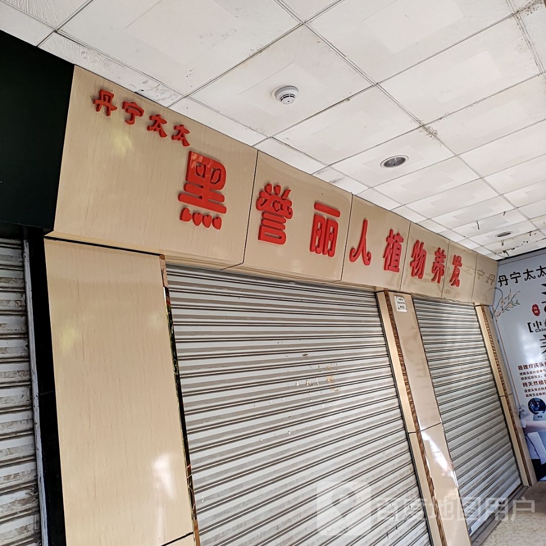 丹寧太太夏黑譽(yù)麗人植物養發(fā)