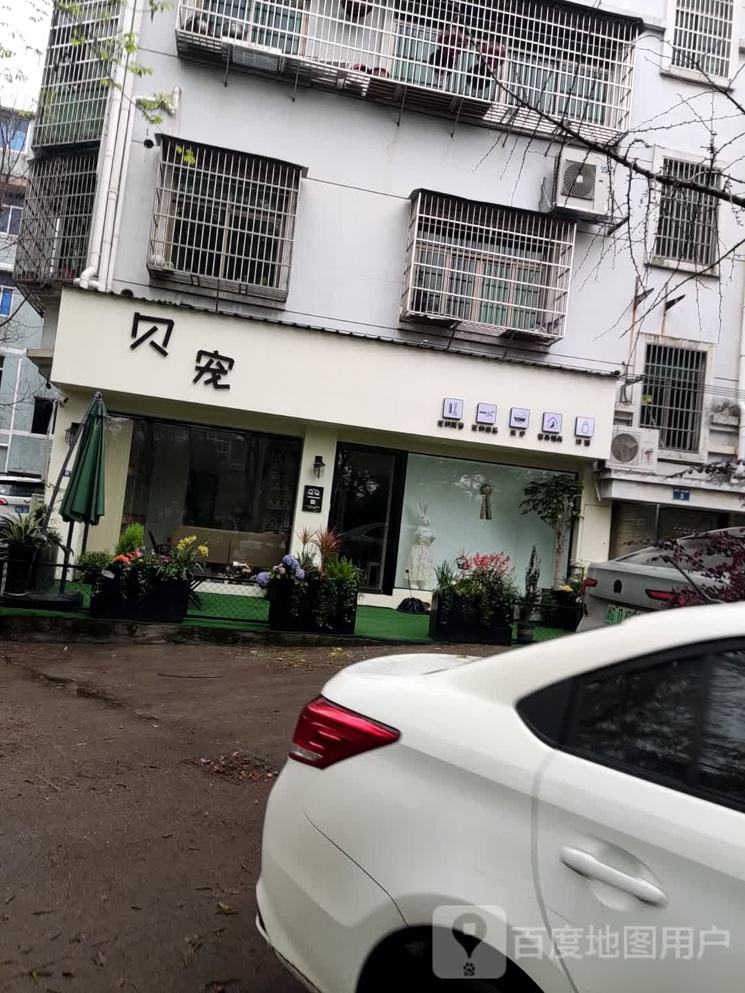 贝宠宠物生活馆(桥东店)