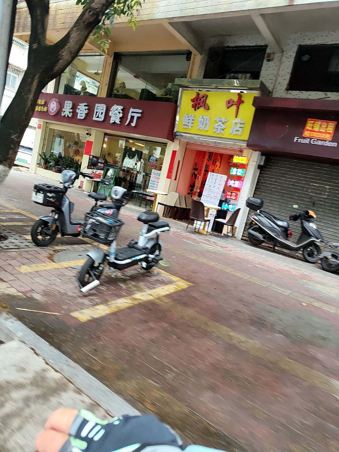 枫叶鲜奶茶店