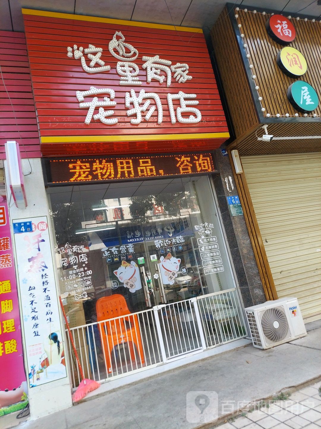 那里有家宠物店