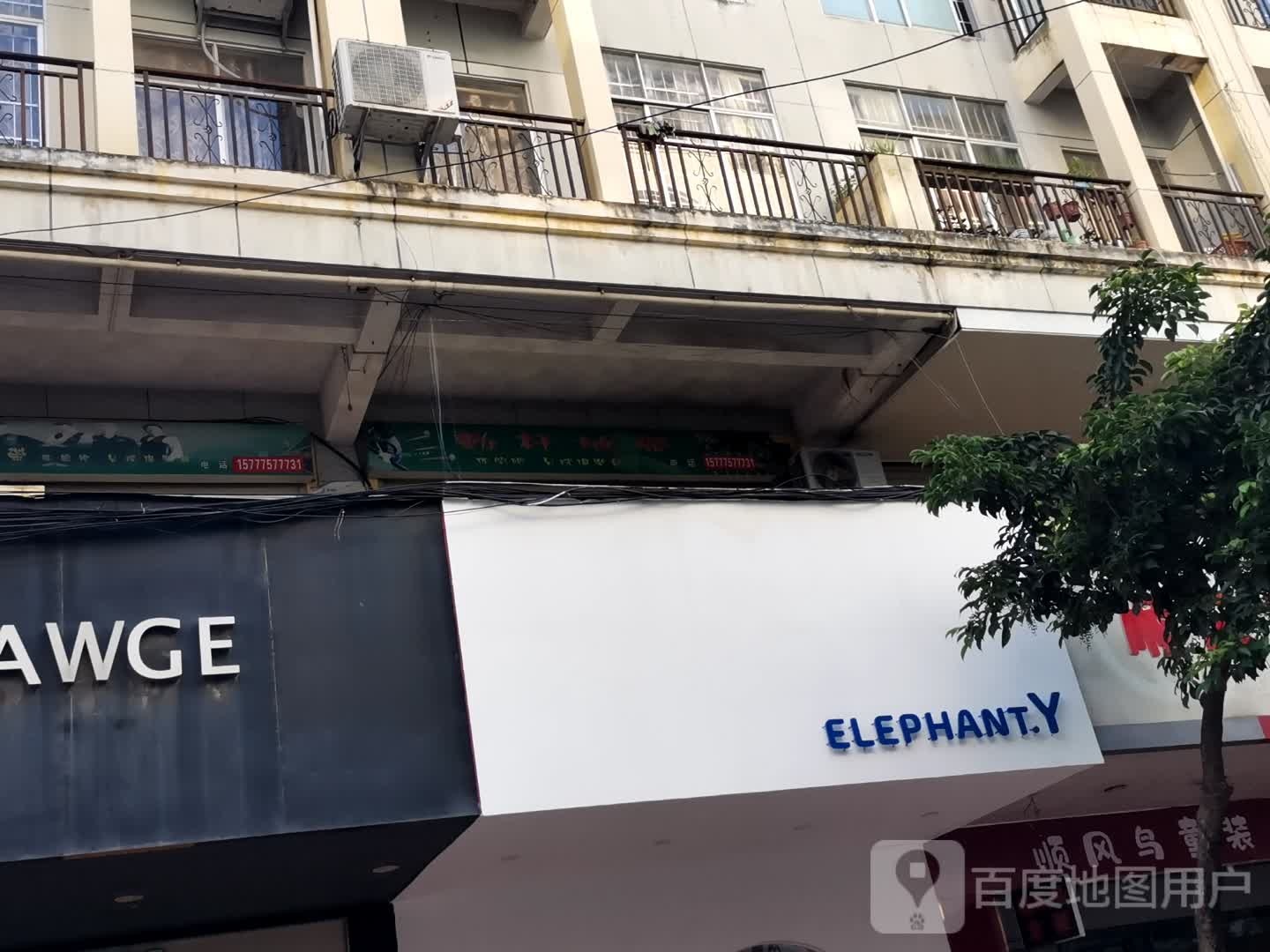 ELEPHANT.Y(城湖路店)